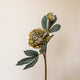 Olive Green Peony Artificial Faux Flower Stem