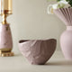 Apricus Decorative Bowl (Pink)