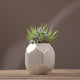 Aethra White Mirror Vase